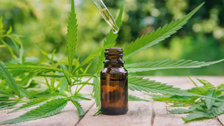 Buds and Beauty: What Is CBD (Cannabidiol) and Why Is it in <i>Everything</i>?